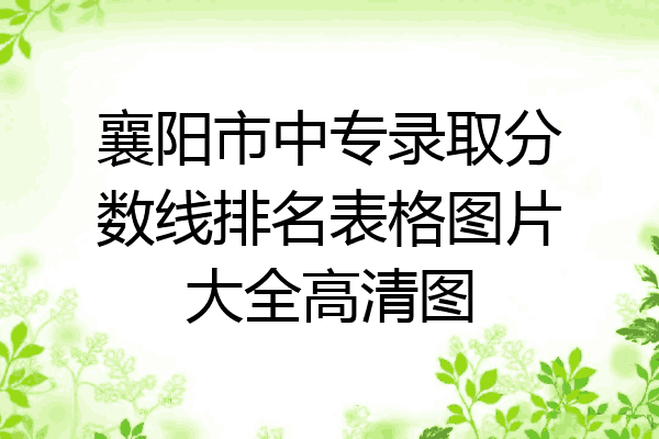 襄阳市中专录取分数线排名表格图片大全高清图
