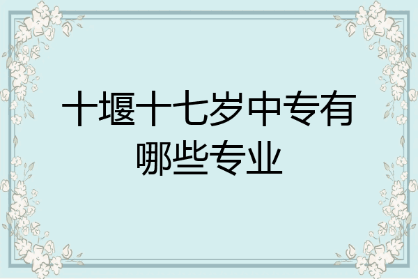 十堰十七岁中专有哪些专业