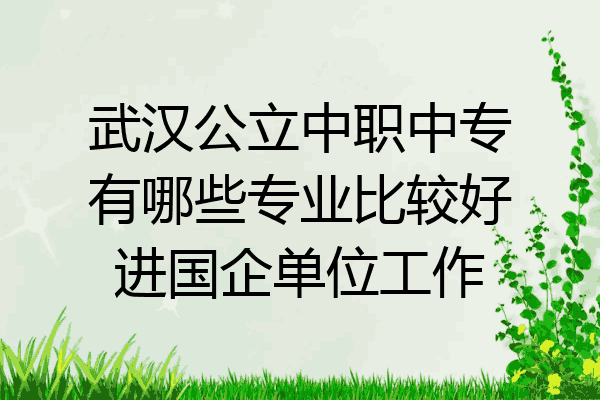 武汉公立中职中专有哪些专业比较好进国企单位工作