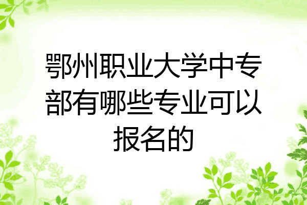 鄂州职业大学中专部有哪些专业可以报名的