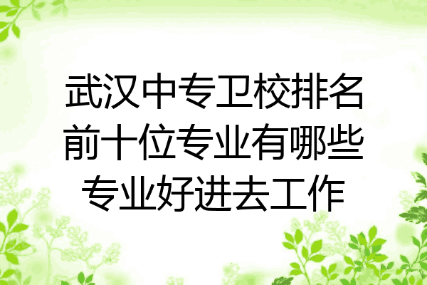 武汉中专卫校排名前十位专业有哪些专业好进去工作