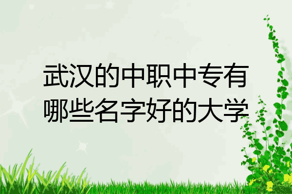 武汉的中职中专有哪些名字好的大学