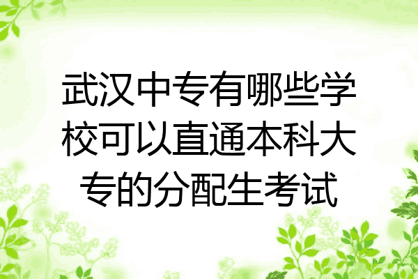 武汉中专有哪些学校可以直通本科大专的分配生考试