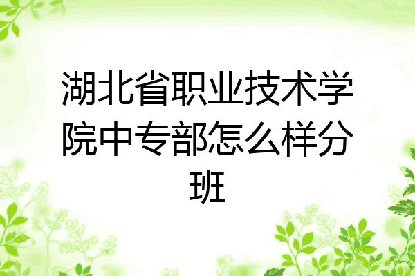 湖北省职业技术学院中专部怎么样分班
