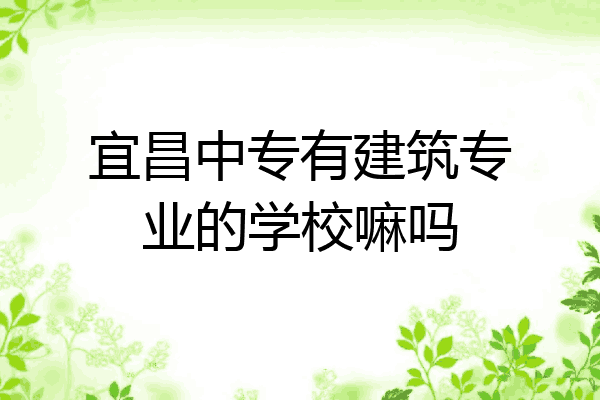 宜昌中专有建筑专业的学校嘛吗