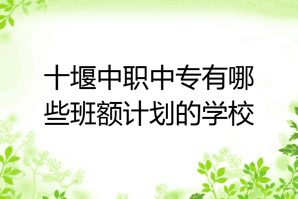 十堰中职中专有哪些班额计划的学校