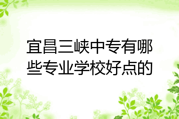 宜昌三峡中专有哪些专业学校好点的