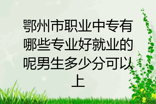 鄂州市职业中专有哪些专业好就业的呢男生多少分可以上