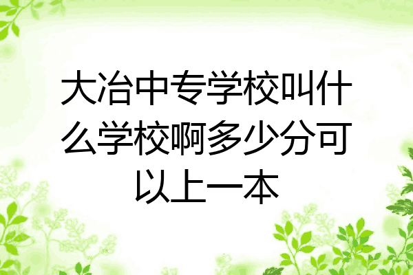 大冶中专学校叫什么学校啊多少分可以上一本