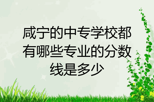 咸宁的中专学校都有哪些专业的分数线是多少