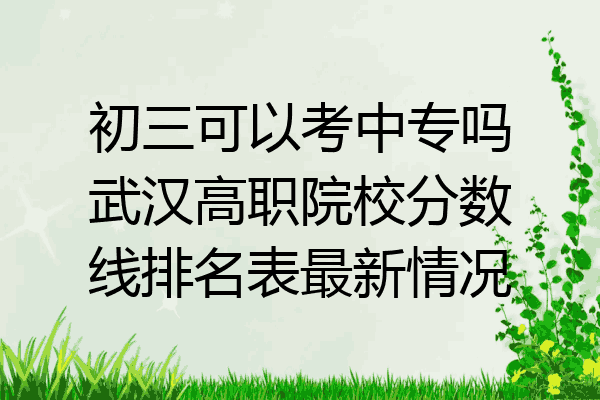 初三可以考中专吗武汉高职院校分数线排名表最新情况