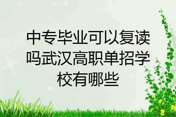 中专毕业可以复读吗武汉高职单招学校有哪些