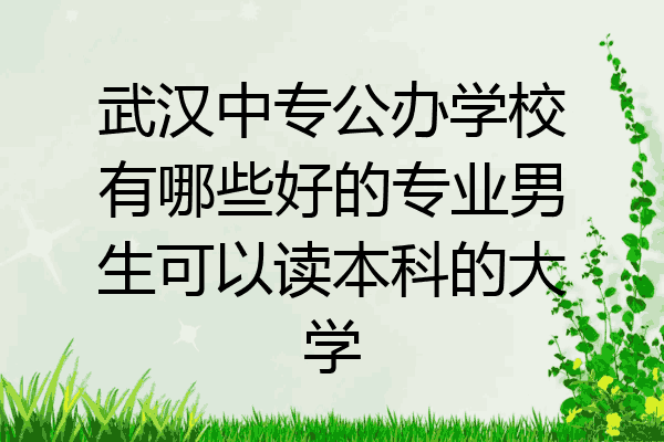 武汉中专公办学校有哪些好的专业男生可以读本科的大学