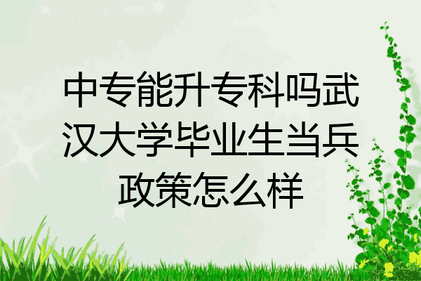 中专能升专科吗武汉大学毕业生当兵政策怎么样