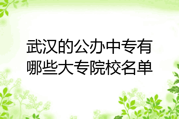 武汉的公办中专有哪些大专院校名单