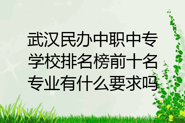 武汉民办中职中专学校排名榜前十名专业有什么要求吗