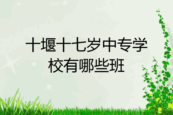 十堰十七岁中专学校有哪些班