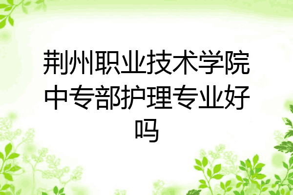 荆州职业技术学院中专部护理专业好吗