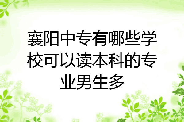 襄阳中专有哪些学校可以读本科的专业男生多