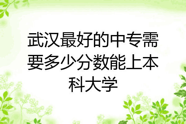武汉最好的中专需要多少分数能上本科大学