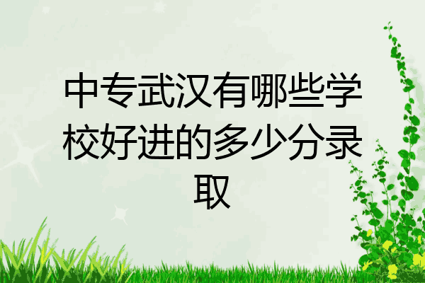 中专武汉有哪些学校好进的多少分录取
