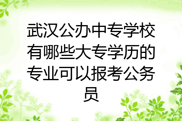 武汉公办中专学校有哪些大专学历的专业可以报考公务员