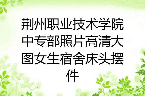 荆州职业技术学院中专部照片高清大图女生宿舍床头摆件