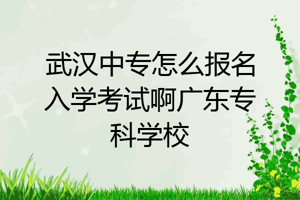 武汉中专怎么报名入学考试啊广东专科学校