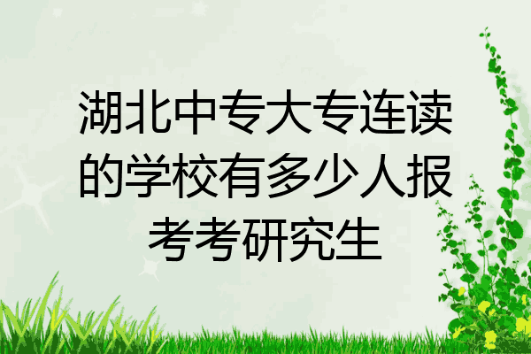 湖北中专大专连读的学校有多少人报考考研究生