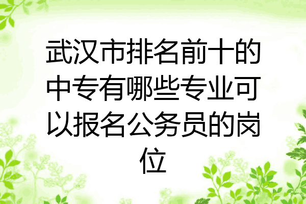 武汉市排名前十的中专有哪些专业可以报名公务员的岗位
