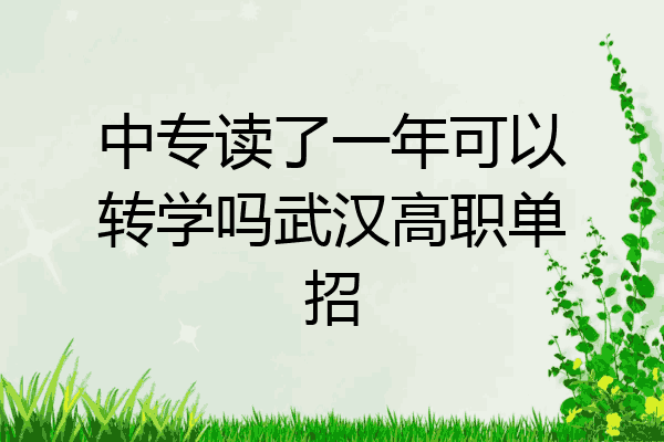 中专读了一年可以转学吗武汉高职单招