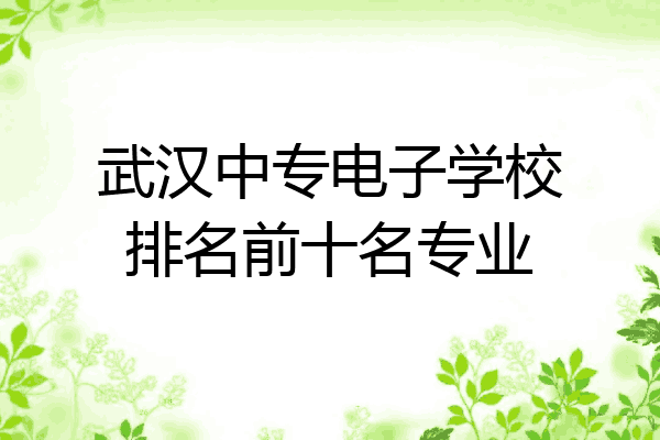 武汉中专电子学校排名前十名专业