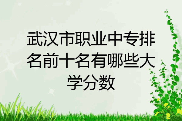 武汉市职业中专排名前十名有哪些大学分数