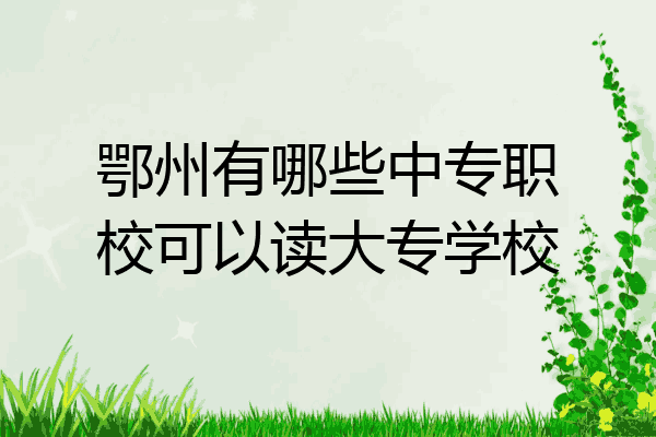 鄂州有哪些中专职校可以读大专学校