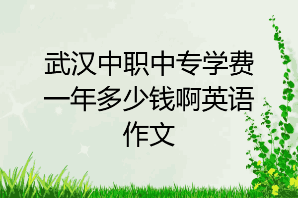 武汉中职中专学费一年多少钱啊英语作文