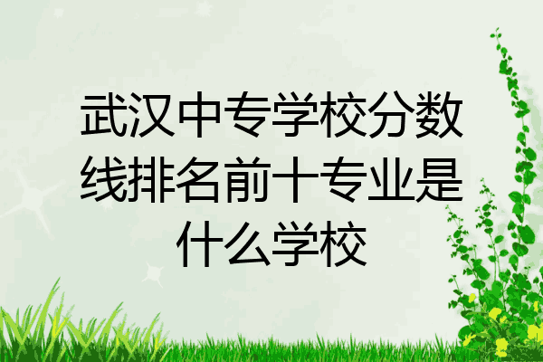 武汉中专学校分数线排名前十专业是什么学校
