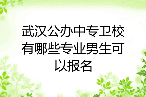 武汉公办中专卫校有哪些专业男生可以报名