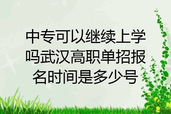 中专可以继续上学吗武汉高职单招报名时间是多少号