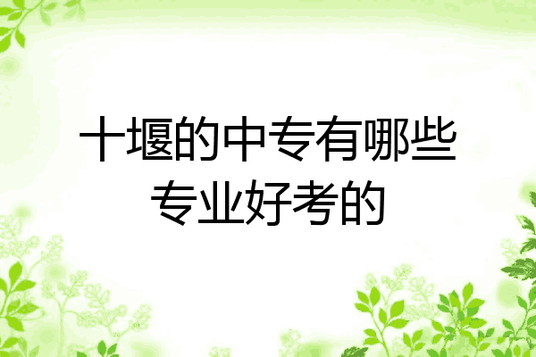 十堰的中专有哪些专业好考的