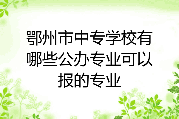 鄂州市中专学校有哪些公办专业可以报的专业