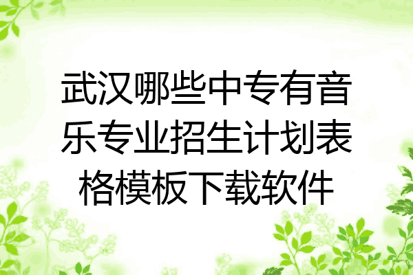 武汉哪些中专有音乐专业招生计划表格模板下载软件