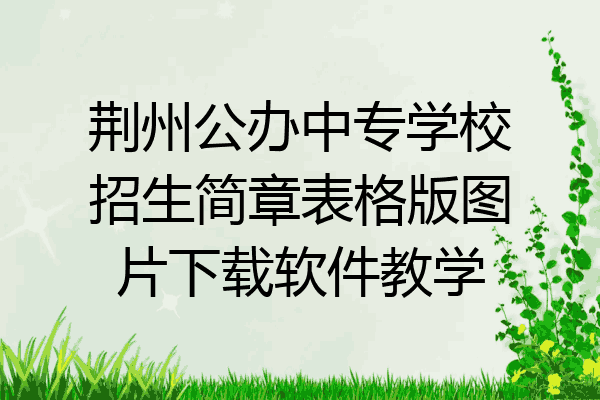 荆州公办中专学校招生简章表格版图片下载软件教学