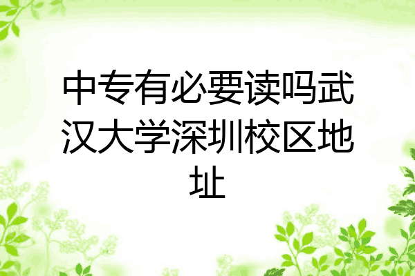 中专有必要读吗武汉大学深圳校区地址