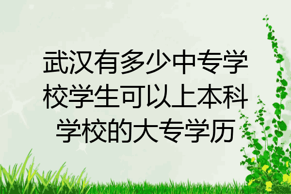 武汉有多少中专学校学生可以上本科学校的大专学历