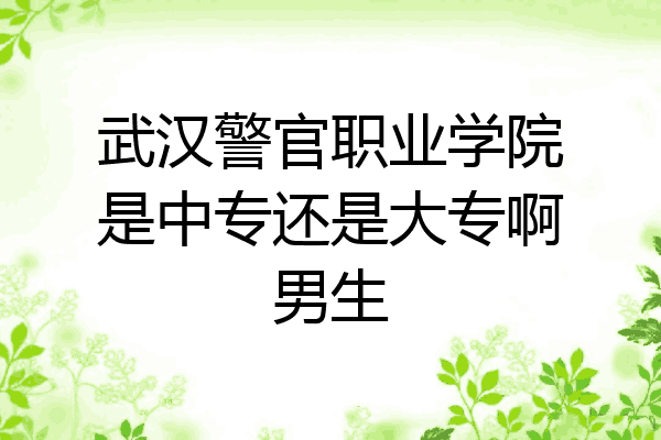 武汉警官职业学院是中专还是大专啊男生