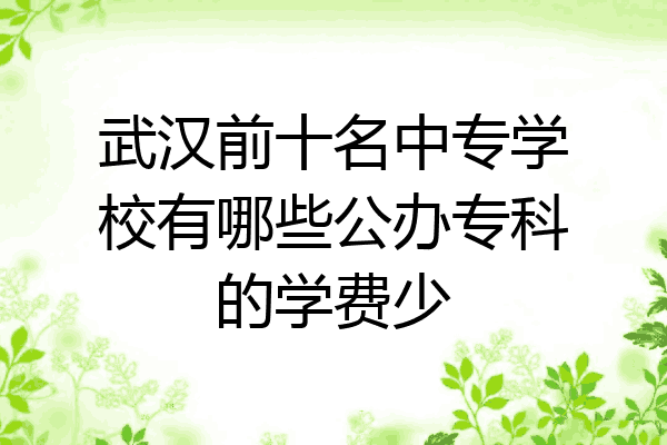 武汉前十名中专学校有哪些公办专科的学费少