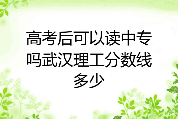 高考后可以读中专吗武汉理工分数线多少