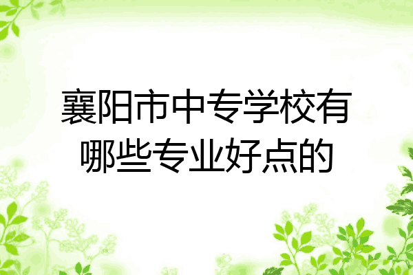 襄阳市中专学校有哪些专业好点的