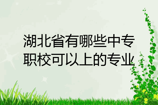 湖北省有哪些中专职校可以上的专业