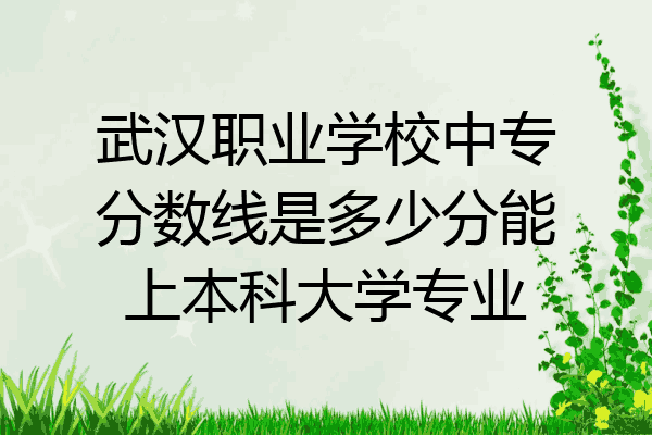 武汉职业学校中专分数线是多少分能上本科大学专业
